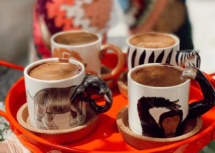 לינה וארוחת בוקר Cagla Ildiri