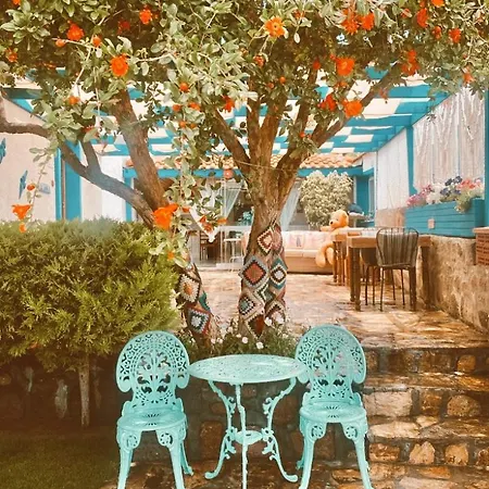 Bed & Breakfast Cagla 2*