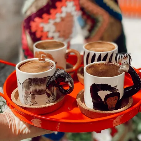 Bed & Breakfast Cagla Ildiri